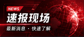速报与公开信息的阅读方法